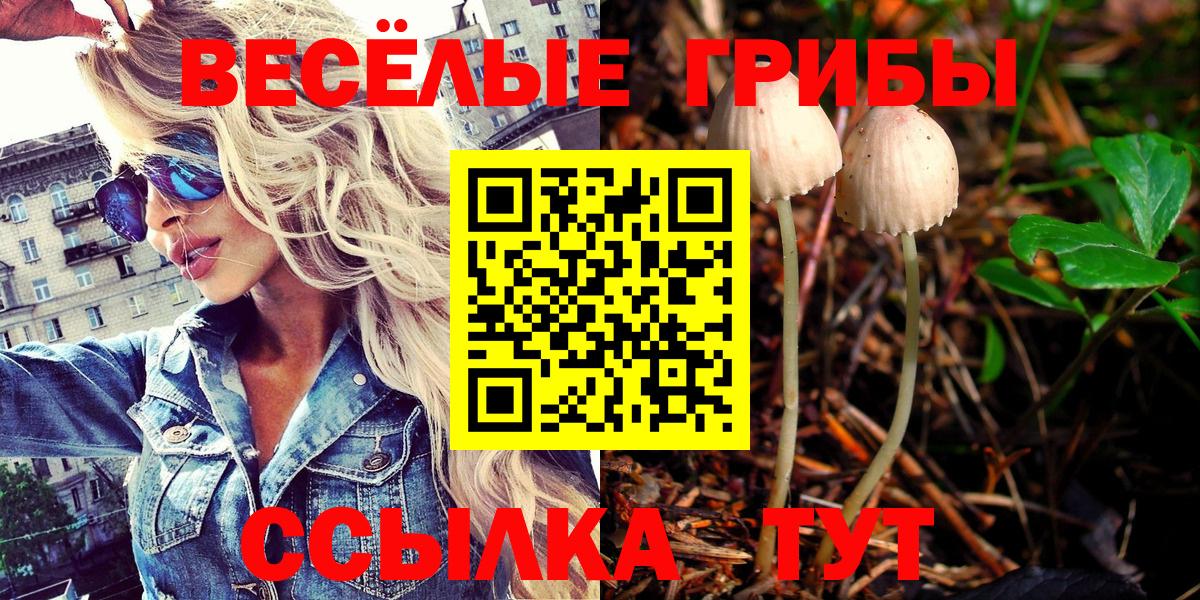 Галлюциногенные грибы ЛСД  Псилоцибиновые грибы прущие грибы  Чебоксары  наркотики  Вход с VPN 